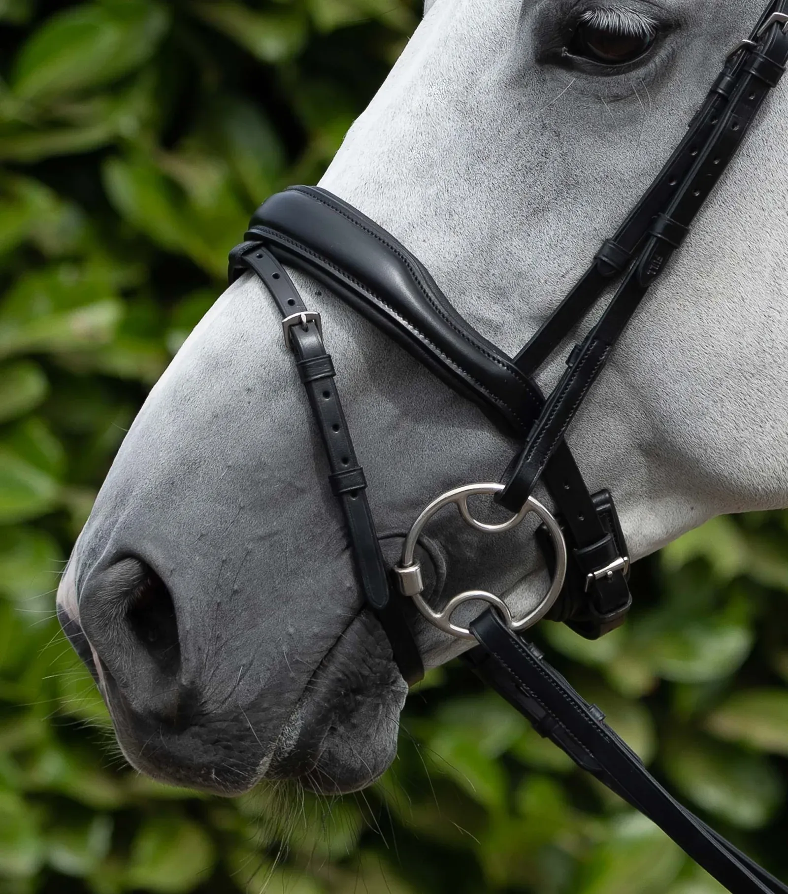 Bridle Parts - Anatomical Flash Noseband (PEI)