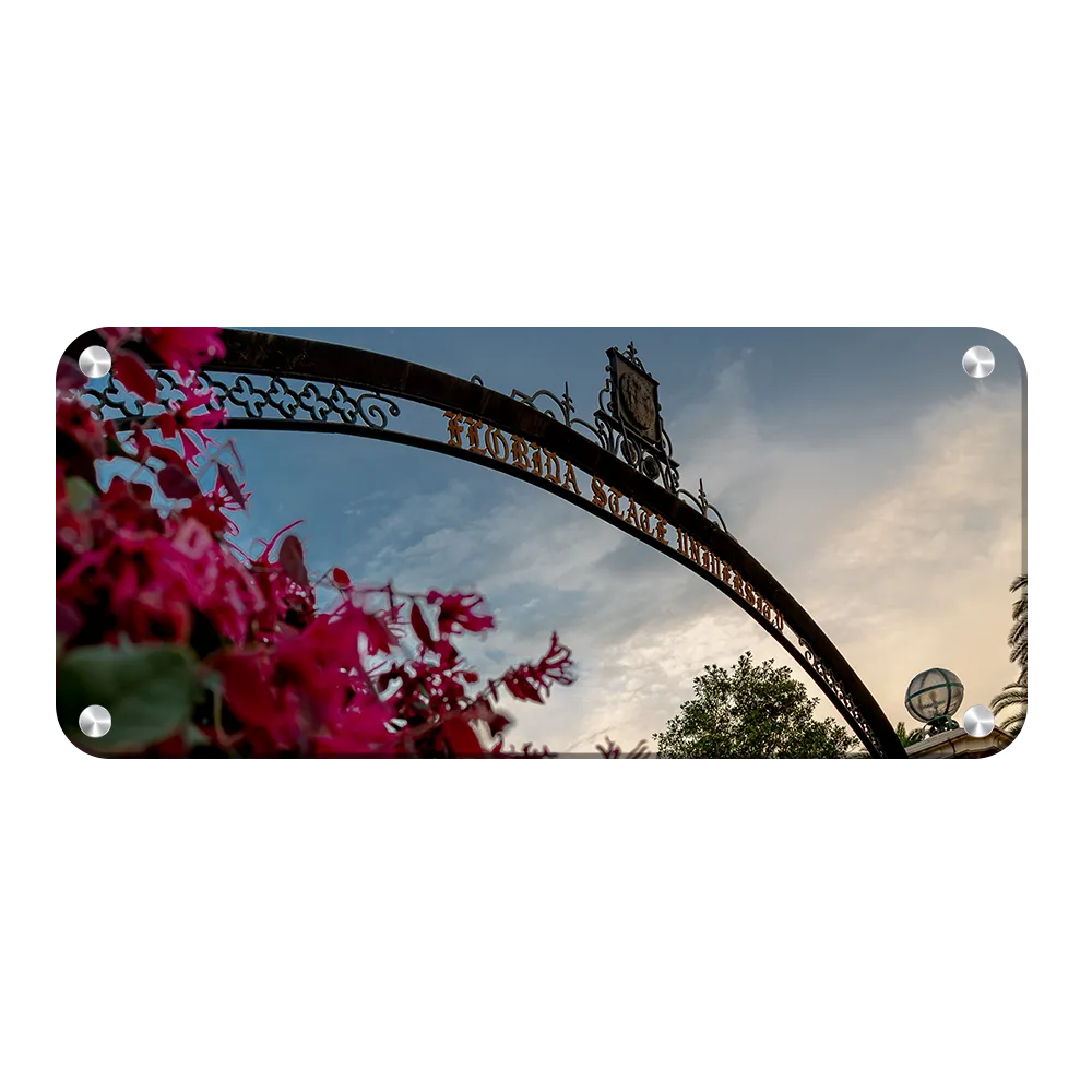 Florida State Seminoles - Gateway to Knowledge Panoramic