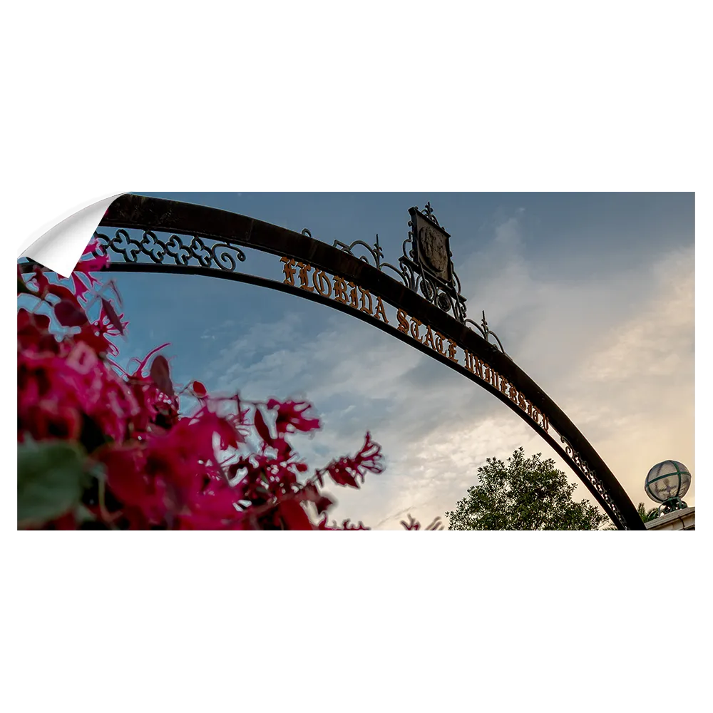 Florida State Seminoles - Gateway to Knowledge Panoramic