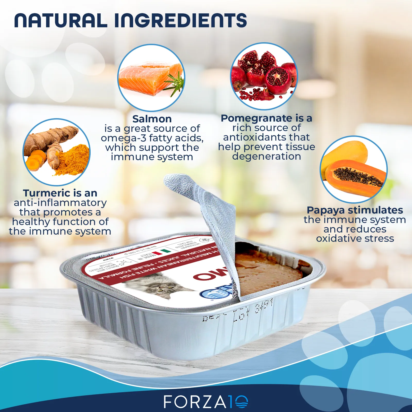 Forza10 Nutraceutic ActiWet Dermo Support Icelandic Fish Recipe Canned Cat Food