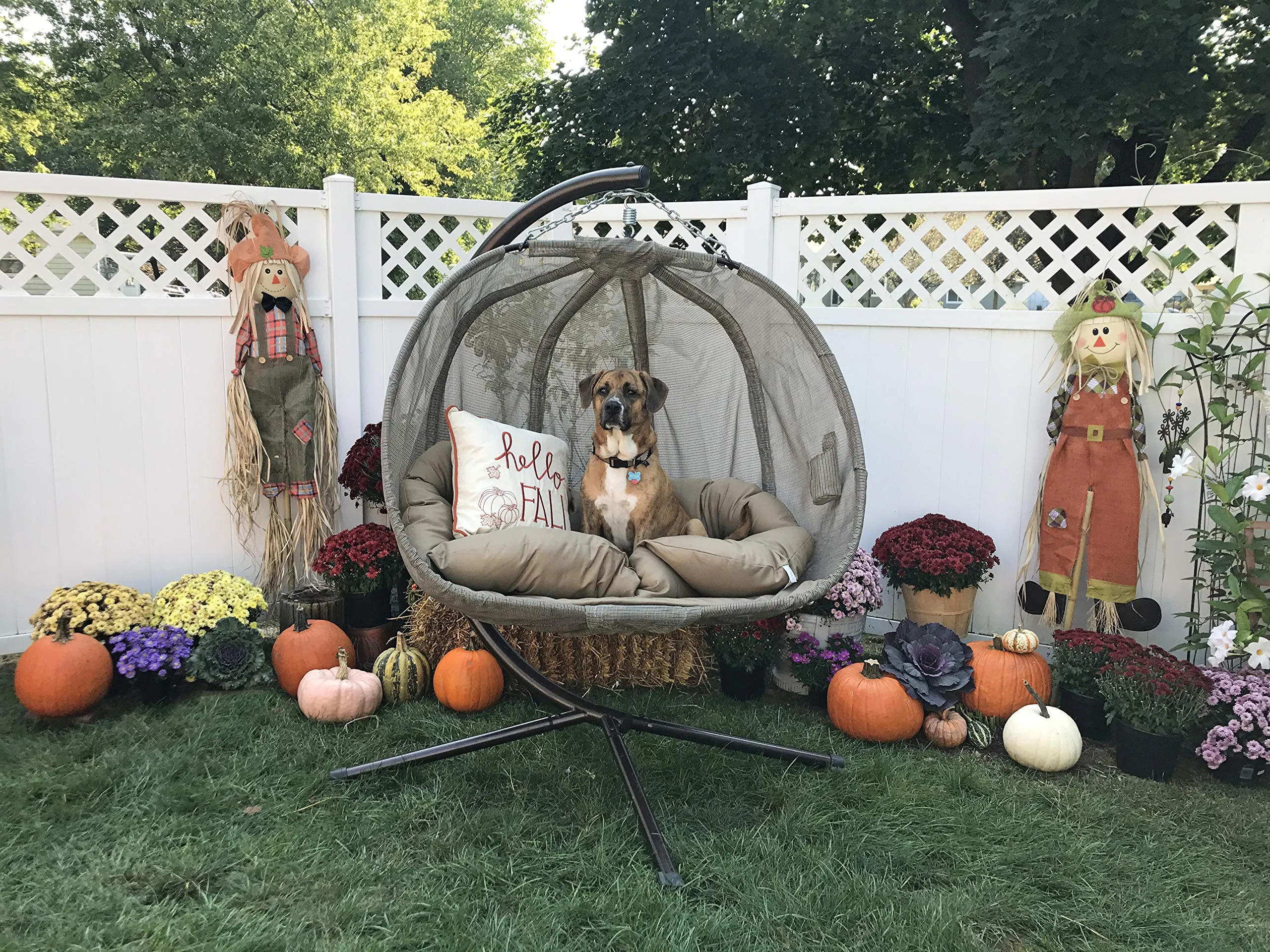 Pumpkin Loveseat Chair - Flower House