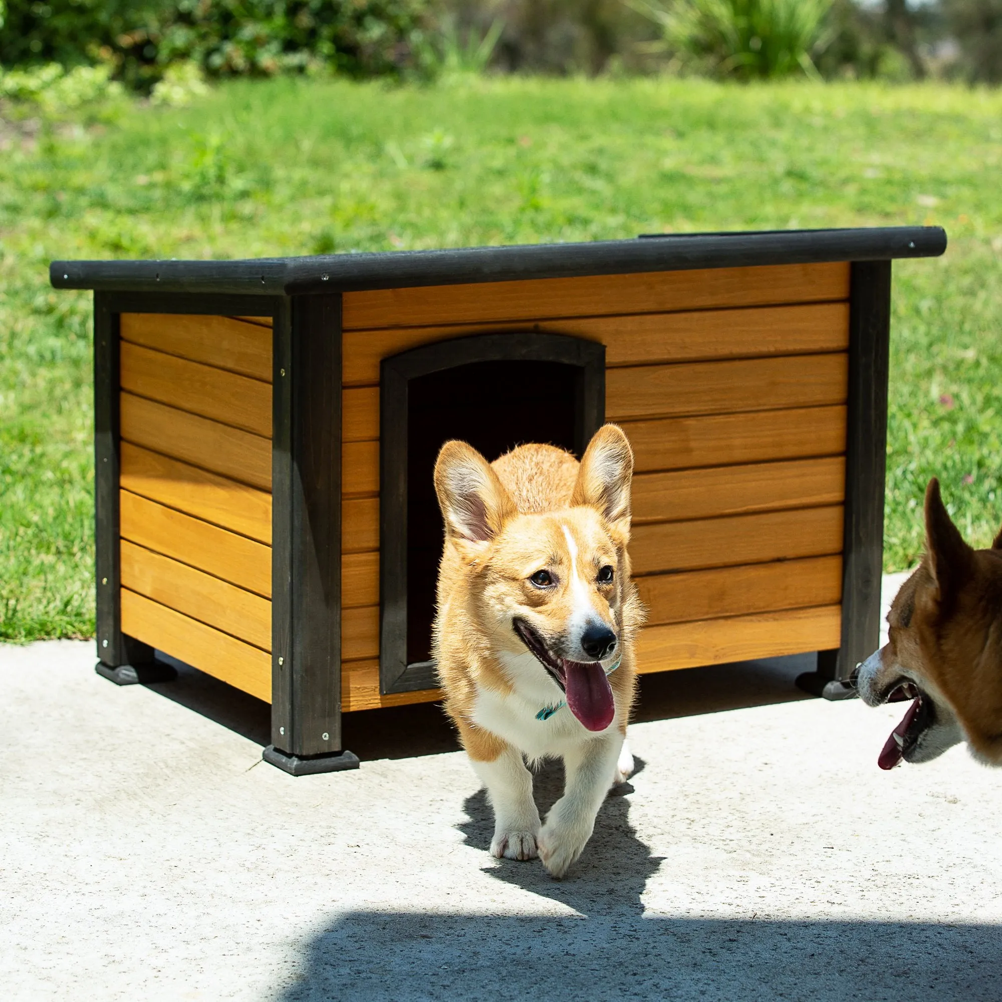 Small Log Cabin Outdoor Dog House w/ Opening Roof